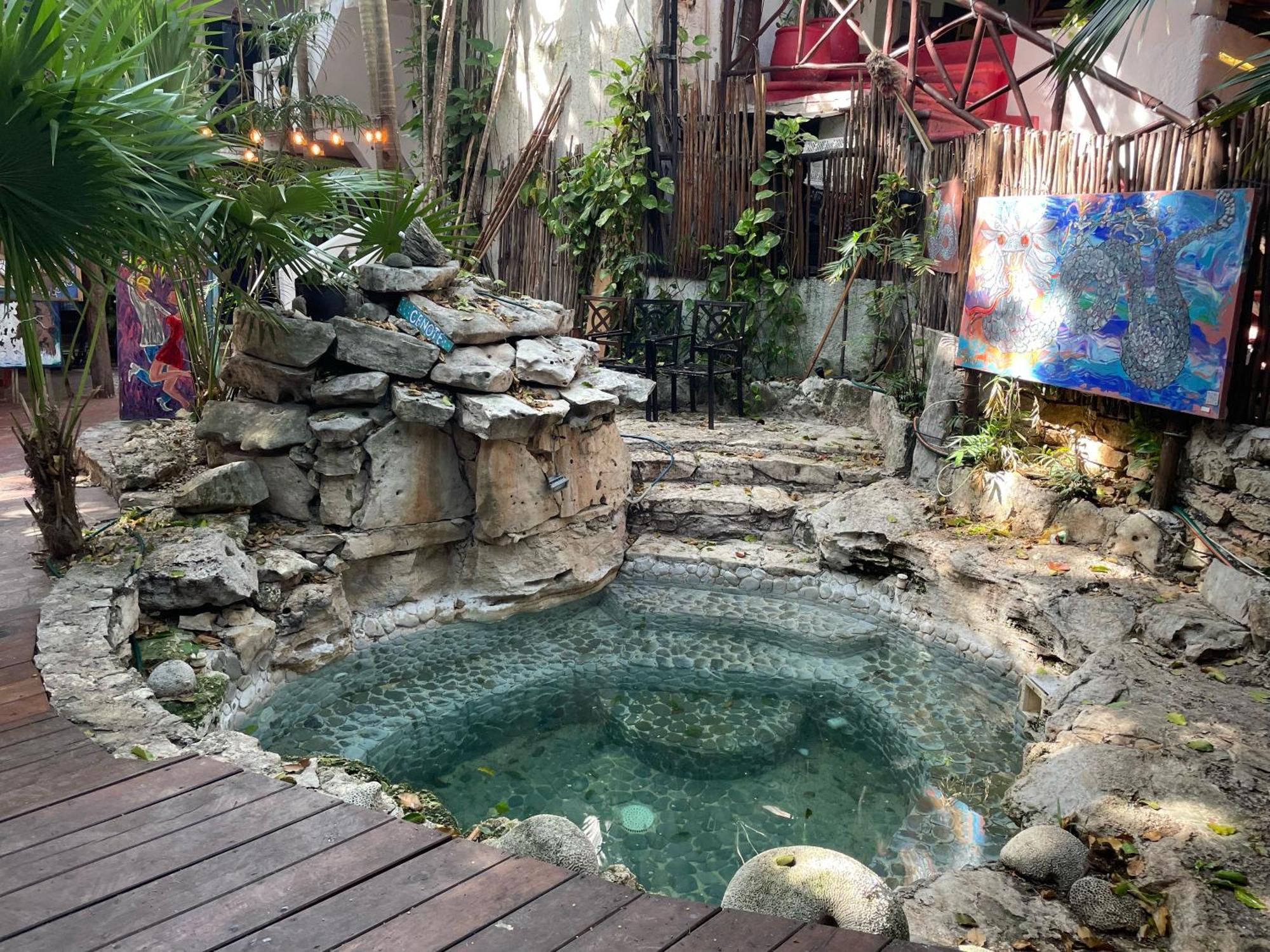 Hotel Manzana Verde 5Th Avenue Playa del Carmen Dış mekan fotoğraf