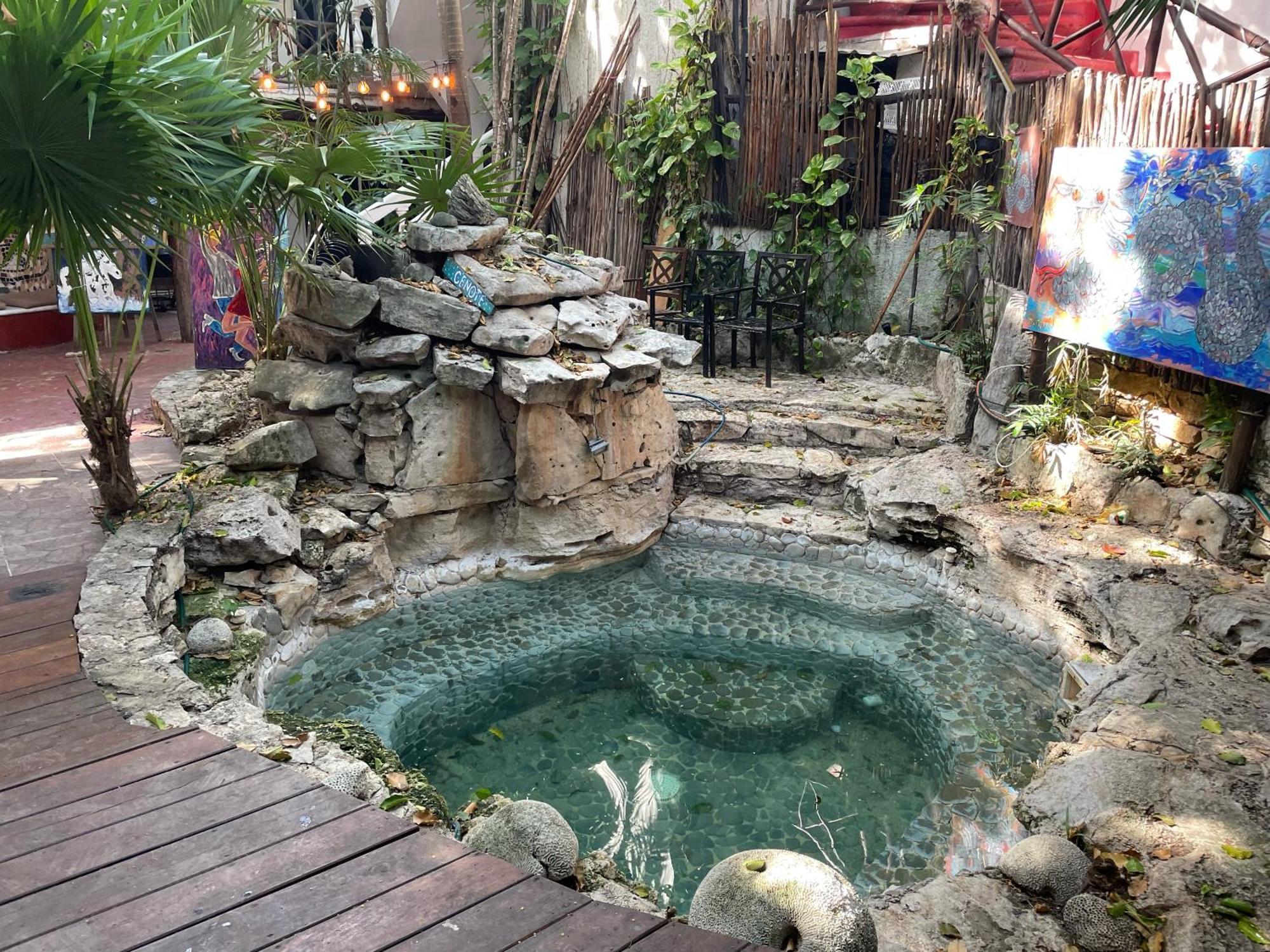 Hotel Manzana Verde 5Th Avenue Playa del Carmen Dış mekan fotoğraf