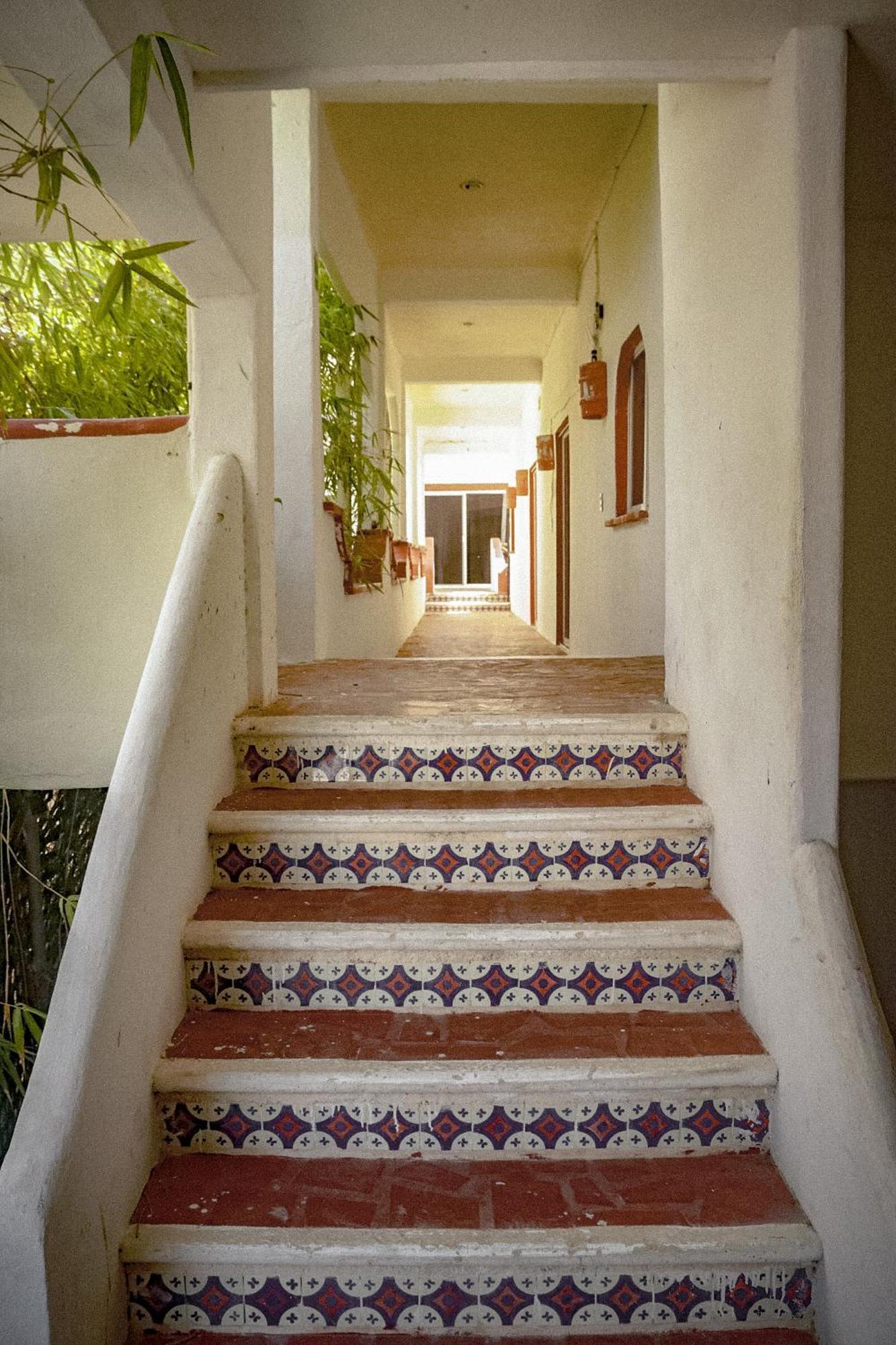 Hotel Manzana Verde 5Th Avenue Playa del Carmen Dış mekan fotoğraf